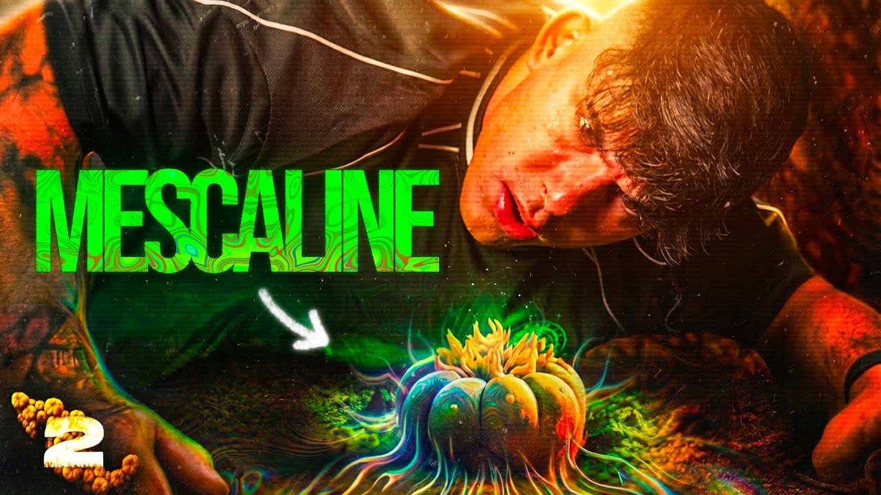 DIGIUNO 36H cercando un CACTUS ALLUCINOGENO - Trip Advisor Ep.2