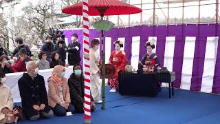 梅の香もそぞろ　京都・北野天満宮