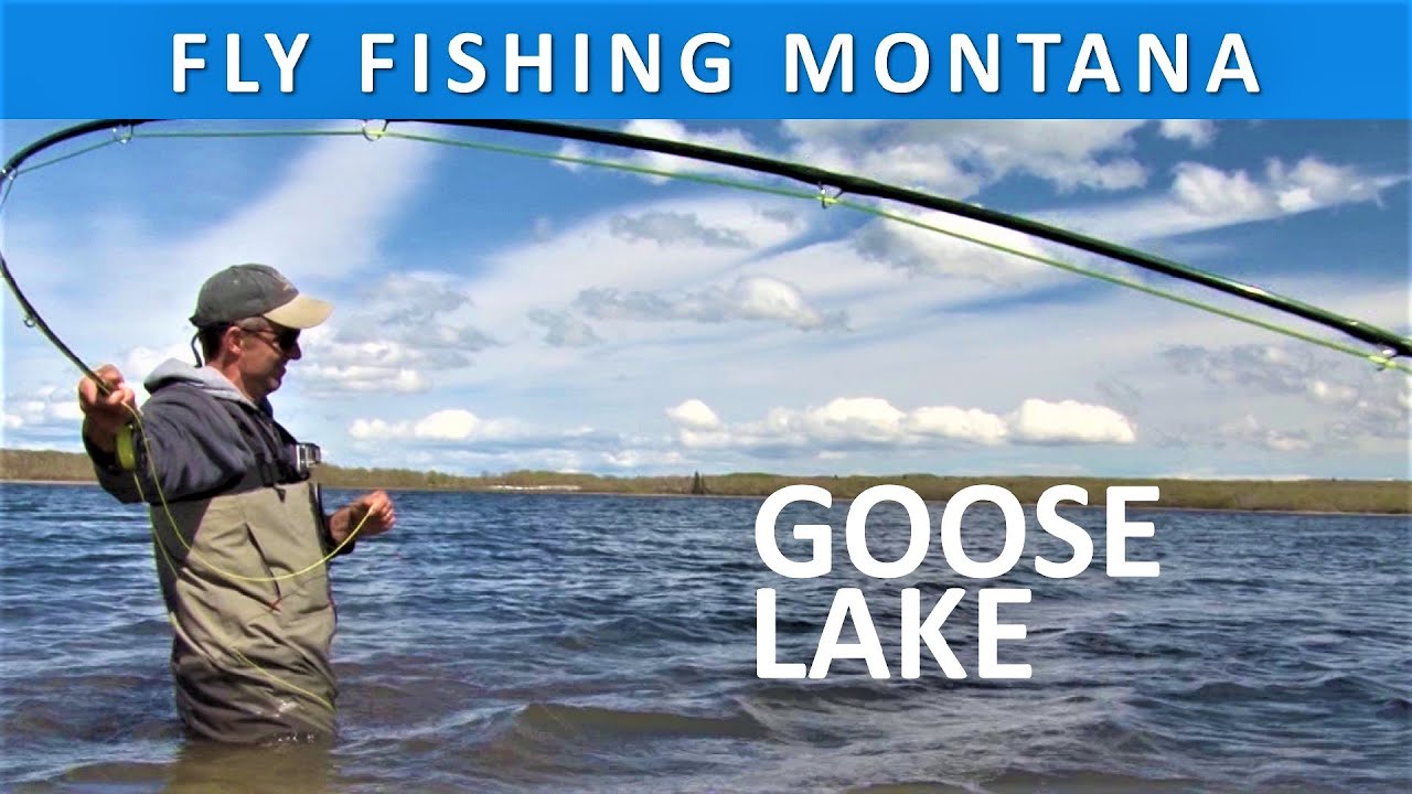 Fly Fishing Montana's Goose Lake [Series Episode 1] YouTube