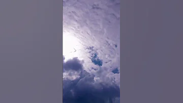 وإذ قال إبراهيم ربي ارني كيف تحيي الموتى اشترك بل قناة وفعلو الجرس ليصلكم كل جديد 