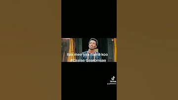New Oromo Music Tiktok Caalaa Gaaromsaa 2021 