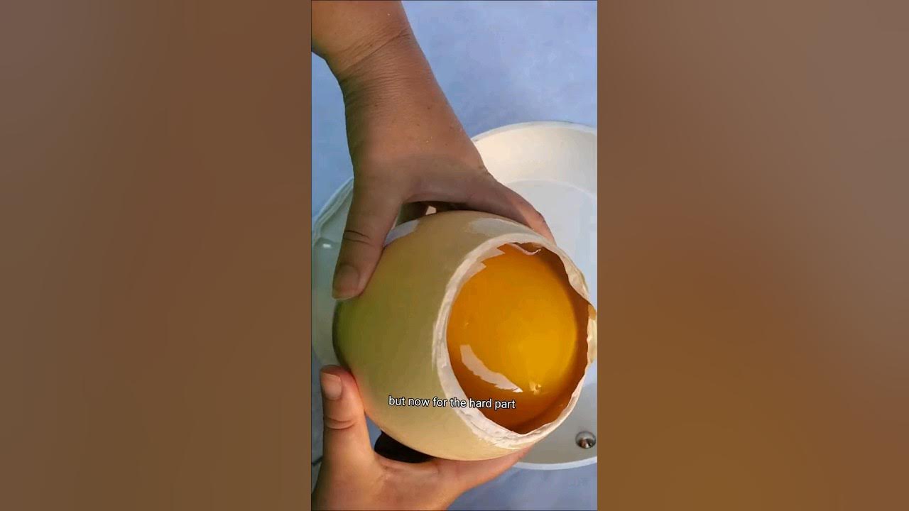 Eating a 3 Pound Hard Boiled Ostrich Egg (Live Stream)