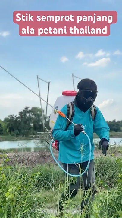 Petani thailand dengan spryer stik panjang  #pertanianpadi #petanimodern #sprayerguns  #sorts