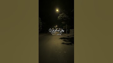 تلاوة من سورة القيامة للقارئ هادي آل عسكر