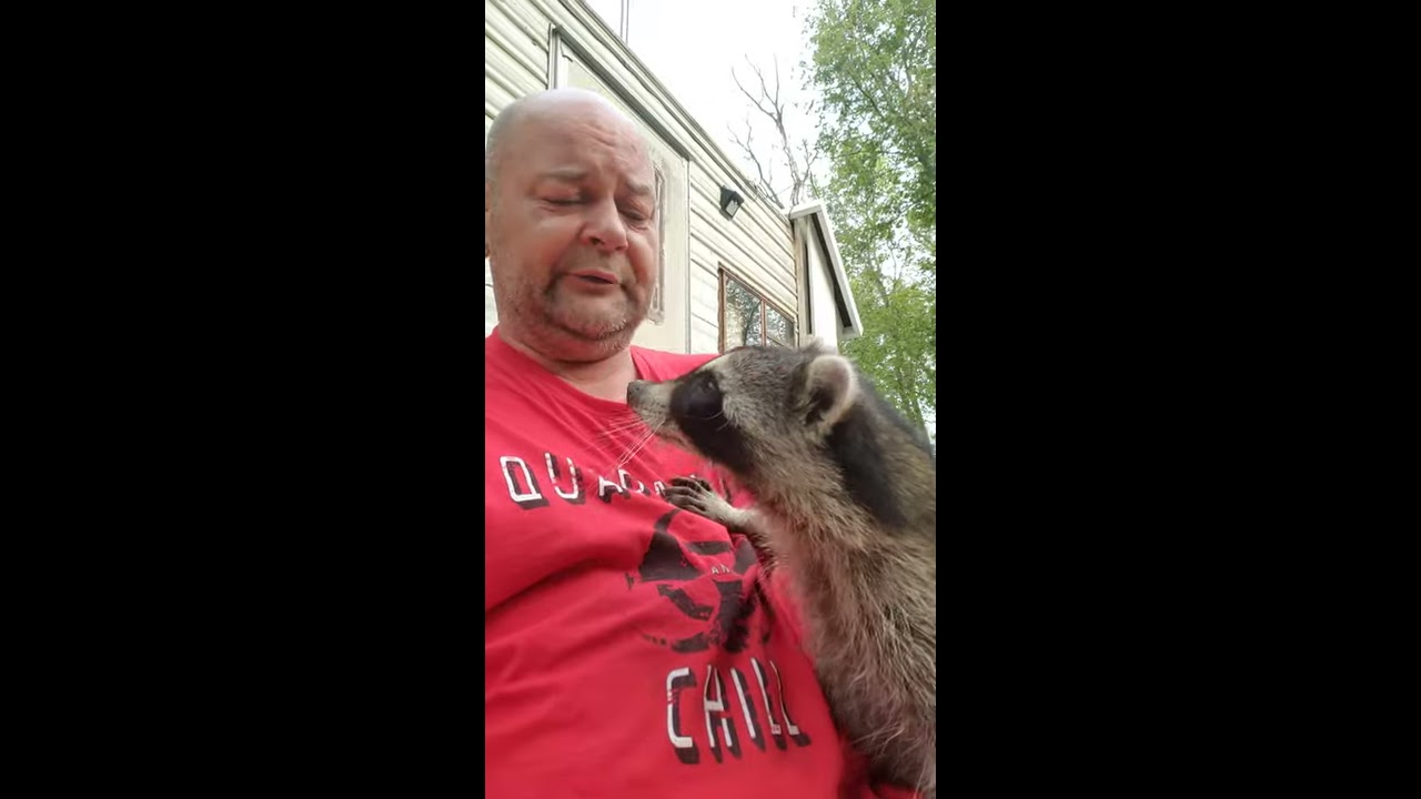 The Wildlife Takeover