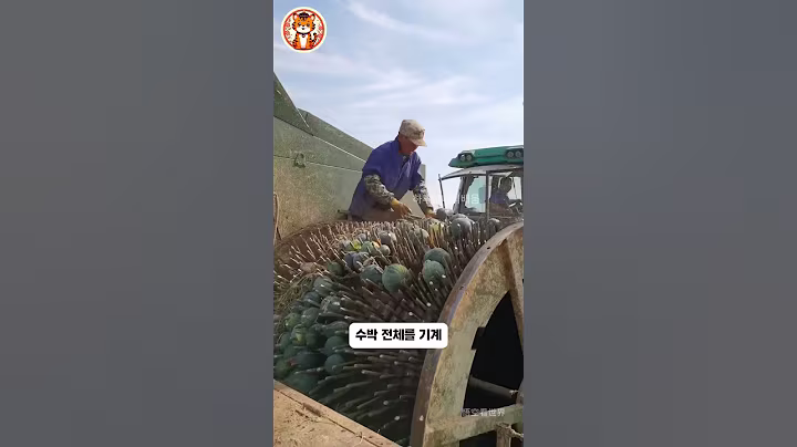 수박 파괴의 비밀: 중국의 볶은 수박씨 제조 과정 - #하루하나의배움
