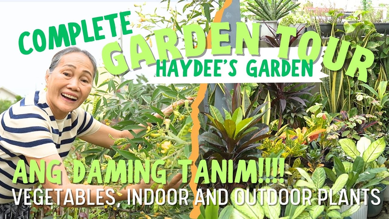 WELCOME TO MY GARDEN! Complete Garden Tour - Vegetables, Fruits, Ornamental Plants | Haydee's Garden