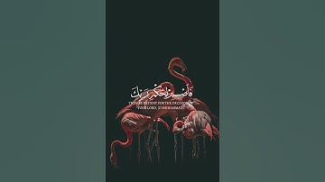 سورة القلم القارئ رزكار الكردي فَأَصْبر لحكم ربك 💤🩵 #قران_كريم #تلاوة_خاشعة #القران