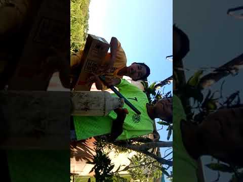 Lagu Sholawat C Uran