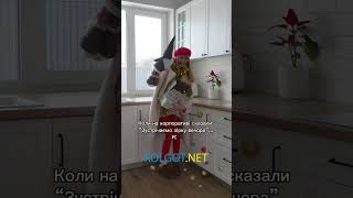 Колготки кольорові Samba 40 den Giulia (aurora red)