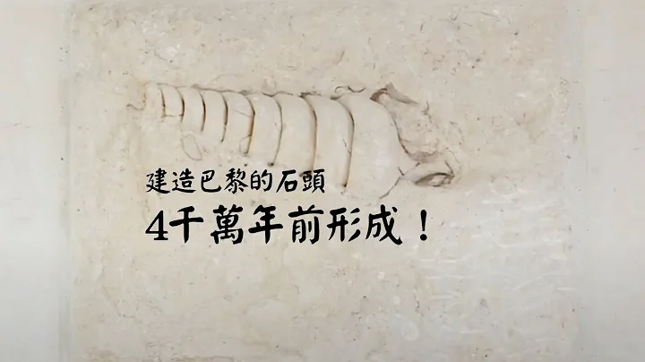 建造巴黎的石頭 4千萬年前形成 - 天天要聞