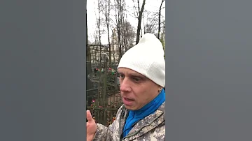 Могила Сонька Золотая Ручка | Ваганьковское ✞ Уборщик заброшенных могил ✞
