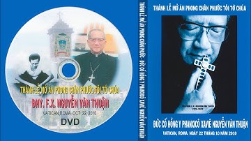 Thánh Lễ mở án phong chân phước Tôi Tớ Chúa DHY. F.X. Nguyễn Văn Thuận. Vatican, Roma. Oct. 22, 2010