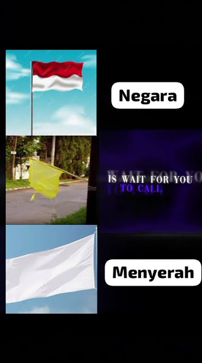 arti bendera ketika di kibarkan. arti bendera kuning : 💀 #bendera