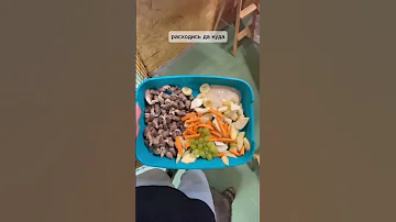 Что у енотов на ужин?