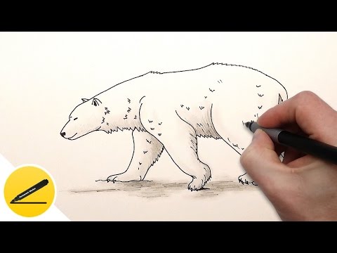 Как Нарисовать Белого Медведя поэтапно - Рисуем Полярного Медведя