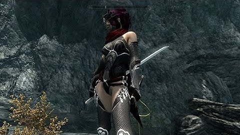 [TESV:Skyrim] Ninja mods