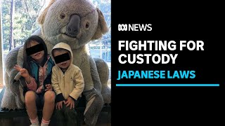 Japan's custody laws criticised for incentivising child abduction | ABC News