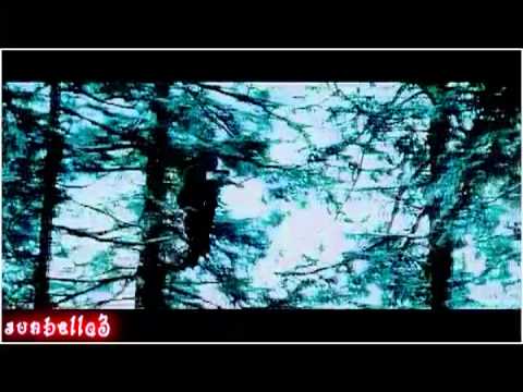 Bella and Edward-Criminal