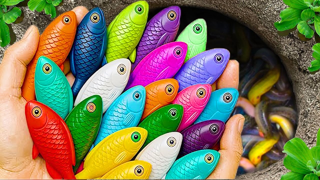 В небольшом пруду можно поймать красивых аквариумных рыбок: маленьких черепашек, карандашных рыбо...