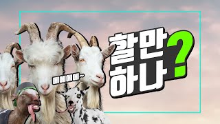 간단 플레이 후기 - 염소 시뮬레이터 3 [ 재미있나? 살만하나? ]