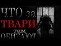 Что за ТВАРИ там обитают???  Страшная ИСТОРИЯ от которой у тебя КРОВЬ остановится...