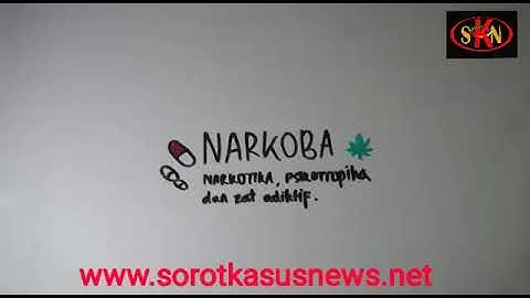 Hidup Sehat Tanpa Narkoba