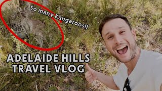 TRAVEL VLOG: Adelaide Hills  Jurlique Farm & Mount Lofty  Day 1