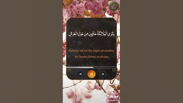 وقالوا الحمد لله الذي صدقنا وعده❤ سورة الزمر - تلاوة خاشعة - القارئ عمر الدريويز #قرآن #قرآن_كريم