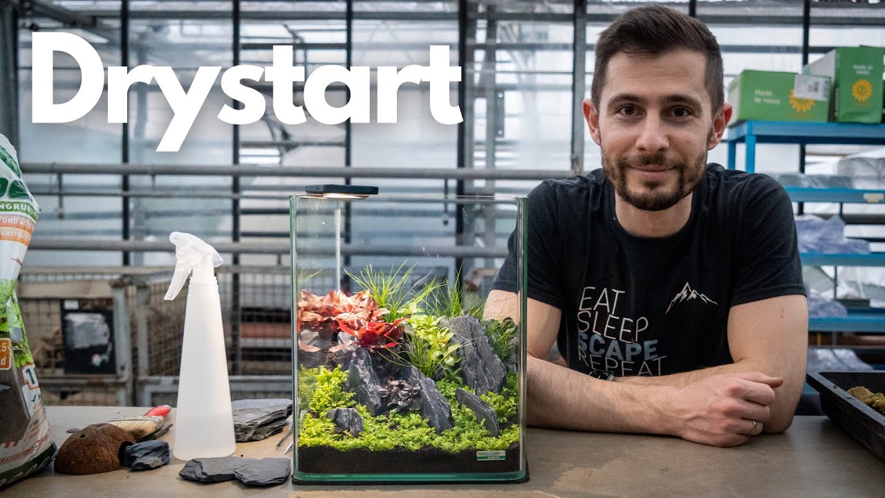  Update New Aquascaping mit @Jurijs Jutjajevs - Nano Cube Drystart bei @Dennerle Plants 🌿