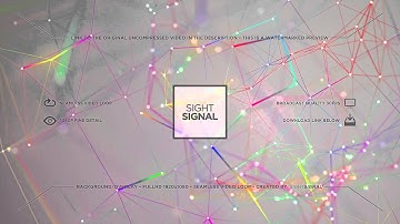 sightsignal - Web Connection Loop 7