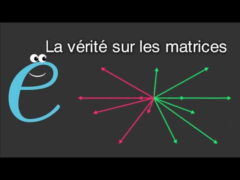 Vidéo: Qu'est-ce qu'un vecteur dans Matrix?