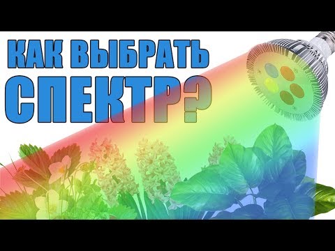 Видео: Полный спектр ламп t5?