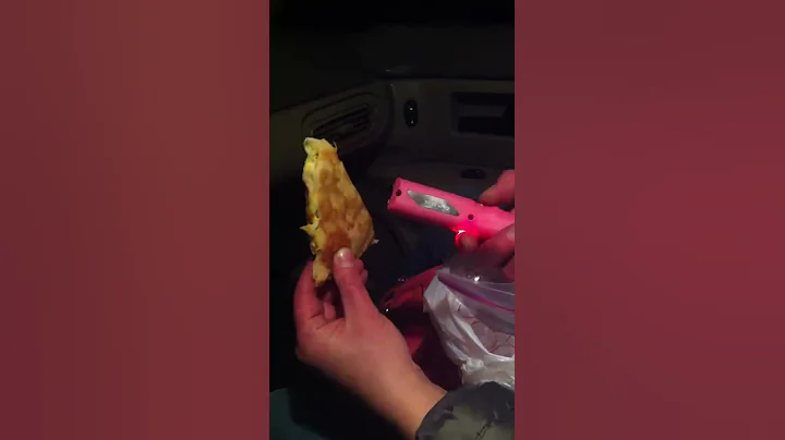 Tasering a quesadilla.