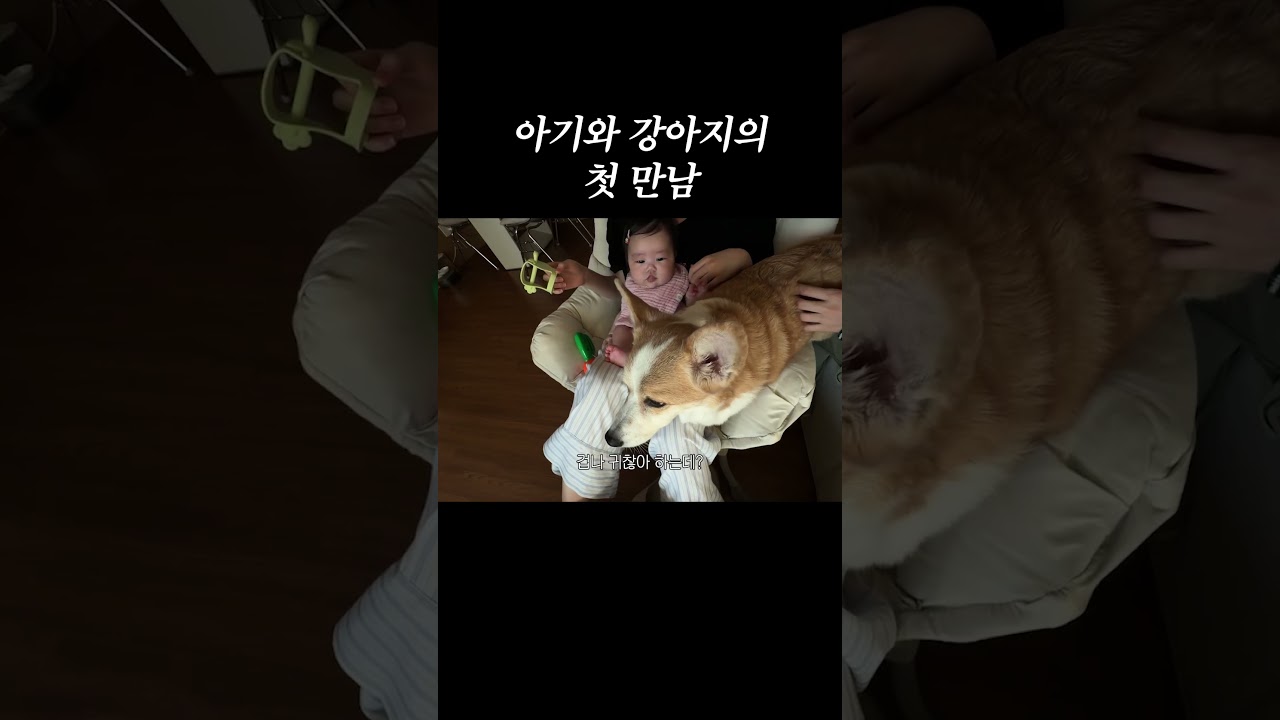 식빵이랑 태리의 첫만남