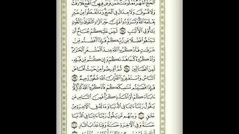 الصفحة 30 من سورة البقرة بصوت الشيخ ماهر المعيقلي