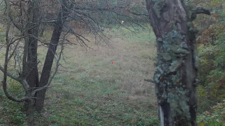 2022 bow hunt