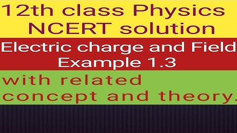 12th physics NCERT Example 1.3