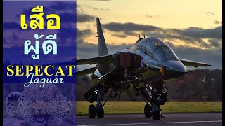 เสือ ผู้ดี SEPECAT Jaguar