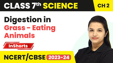 Digestion in Grass - Eating Animals | Class 7 Science Chapter 2  | Nutrition in Animals