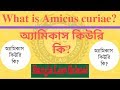 What is amicus curiae