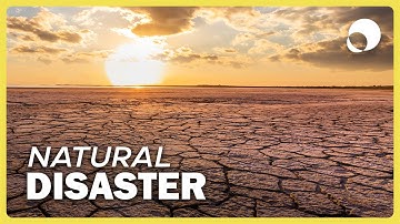 Drought Explained: Causes and Consequences - A Short Documentary