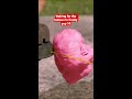 Which clip was better? 🎈