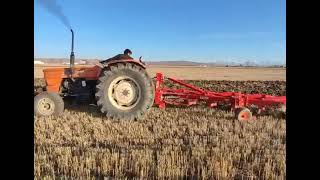 Fiat 640 Ile 5Li 14Lü Pulluk Ile Imtihanı Ünlü Pulluk 5Li 14Lü Köten