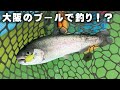 プールで釣り？大阪府八尾市にあるプール施設で釣りができる！