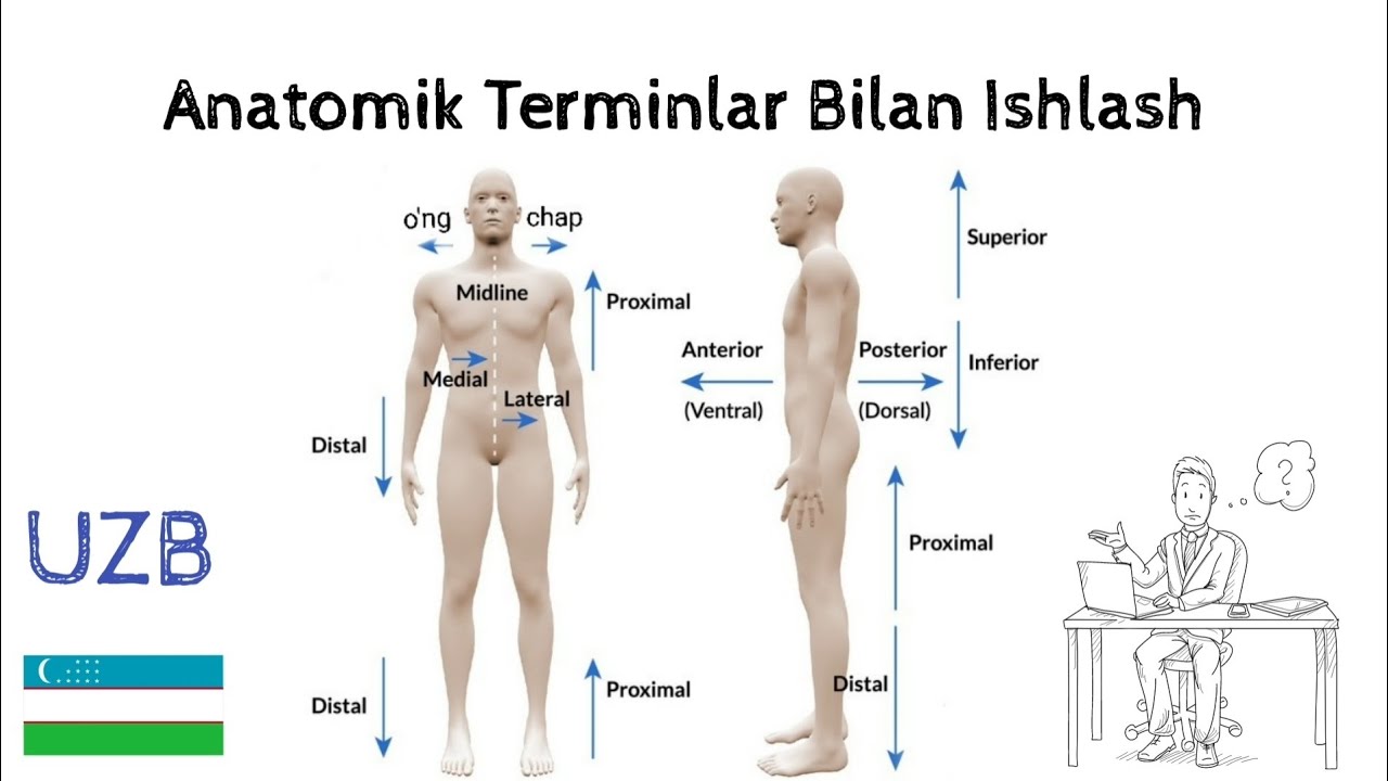 Anatomiyani To'g'ri O'rganing | Animation HANDWRITTEN IN UZB | Terminlar Bilan Ishlash
