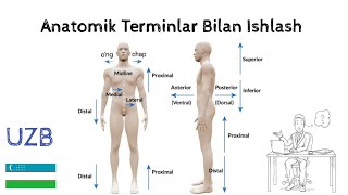 Anatomiyani To'g'ri O'rganing | Animation HANDWRITTEN IN UZB | Terminlar Bilan Ishlash