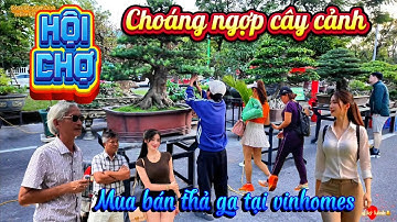 Choáng ngợp cây cảnh tại hội chợ thương mại  vinhomes Long Biên Hà Nội 