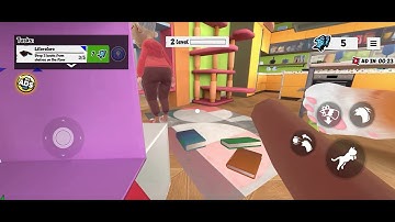 I am cat level 2 Drop 5 book from Shelves on The floor Gameplay walkthrough solution