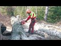 Ison koivun kaato + halonta. Tree climbing with Echo cs 2511 tes. Firewood making Timco Log Splitter